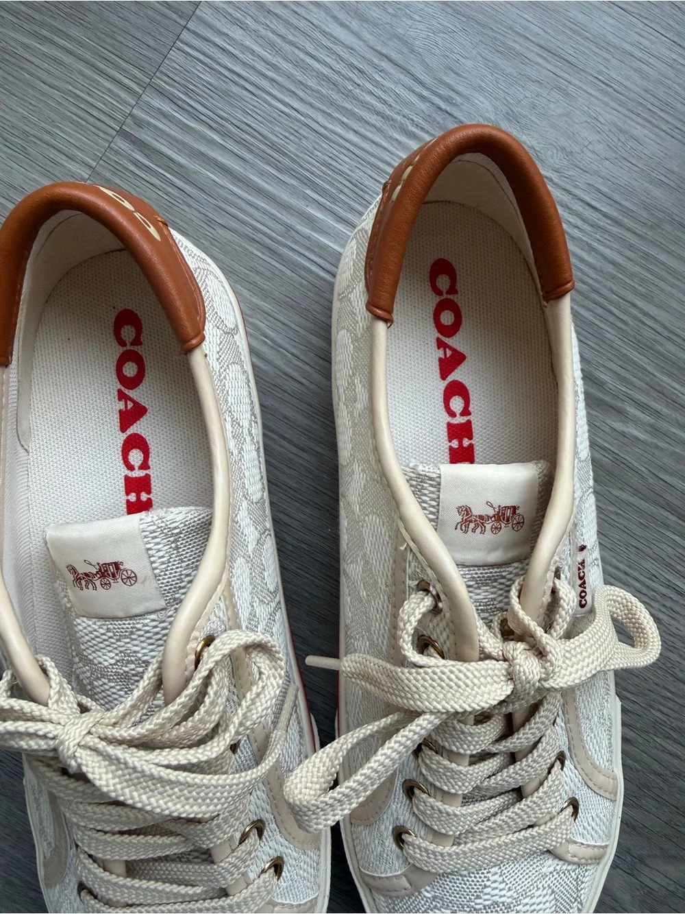 Coach Low-Top Signature Canvas Sneaker